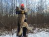 wolf.jpeg