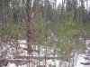 IMG_9118.JPG