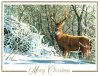 x-mas card.jpg