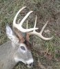 buck 1 resized.jpg