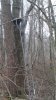 bower resized.jpg bower resized.jpg