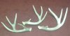 my sheds.jpg
