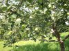 100_0325.jpg