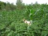DSCN0576.JPG