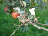 DSCN1250.JPG