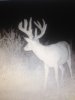 Iowa big boy 14.jpg