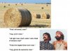 weed.jpg