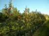 DSCN2431.JPG