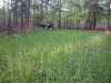 20140529_191119.jpg