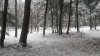 20150103_114421.jpg