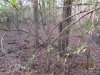 IMG_0829.jpg