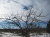 IMG_9190.JPG