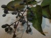 IMG_0847.jpeg