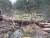 12515 cedar log.jpg