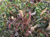 IMG_0874.jpeg