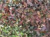 IMG_0873.jpeg