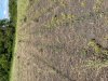 E75BF48E-C205-4DAF-BD35-40CB441DA421.jpeg E75BF48E-C205-4DAF-BD35-40CB441DA421.jpeg