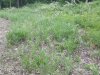 20200606_193621.jpg
