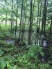 IMG_3474.JPG