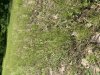 40DB024E-2E64-4B0F-98AB-0DE17430E23F.jpeg