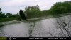 heron1.jpeg
