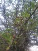 20200615_204326.jpg