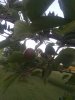 20200615_203041.jpg