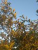 20200625_060518.jpg