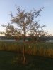 20200625_060711.jpg