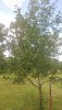 20200626_153039.jpg