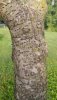 20200628_073026.jpg