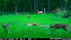 BEE98512-C426-48D2-9CEE-1D6CA2797396.jpeg