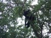 lil girl cub video's 004.JPG