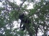 lil girl cub video's 005.JPG