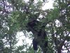 lil girl cub video's 017.JPG