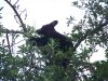 lil girl cub video's 023.JPG