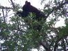 lil girl cub video's 025.JPG