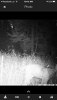 CE037C2D-450F-4F23-B595-50494F8C68A9.png