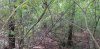 20190720_105126.jpg