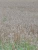53407906-C63B-488F-9FC1-6FADE5C6FDF5.jpeg