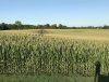 IMG_3935.JPG