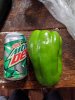 IMG_20200718_152525.jpg