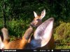 STC_0404-800x600.JPG