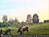 STC_0018 (2)-800x600.JPG