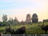STC_0020 (2)-800x600.JPG