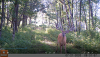 Bullwinkle 290200721.png