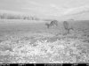 D638F275-5807-4ED1-936D-5459DCD39349.jpeg