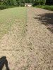 IMG_20200725_154637.jpg