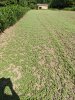 IMG_20200725_155708.jpg
