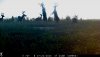 D55BBE95-2DB4-407A-9BF7-0D872A67283F.jpeg